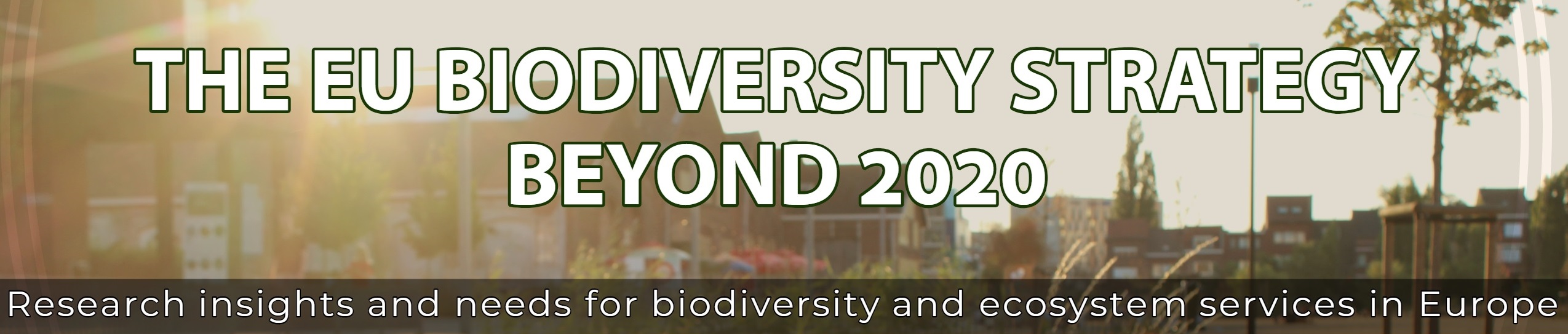 conference header 2